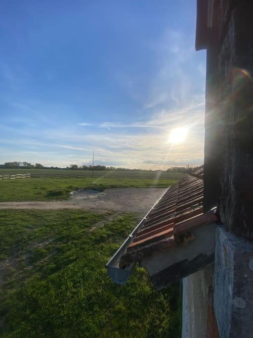 Villenouan Domaine Et Gites Lailly-en-Val Esterno foto