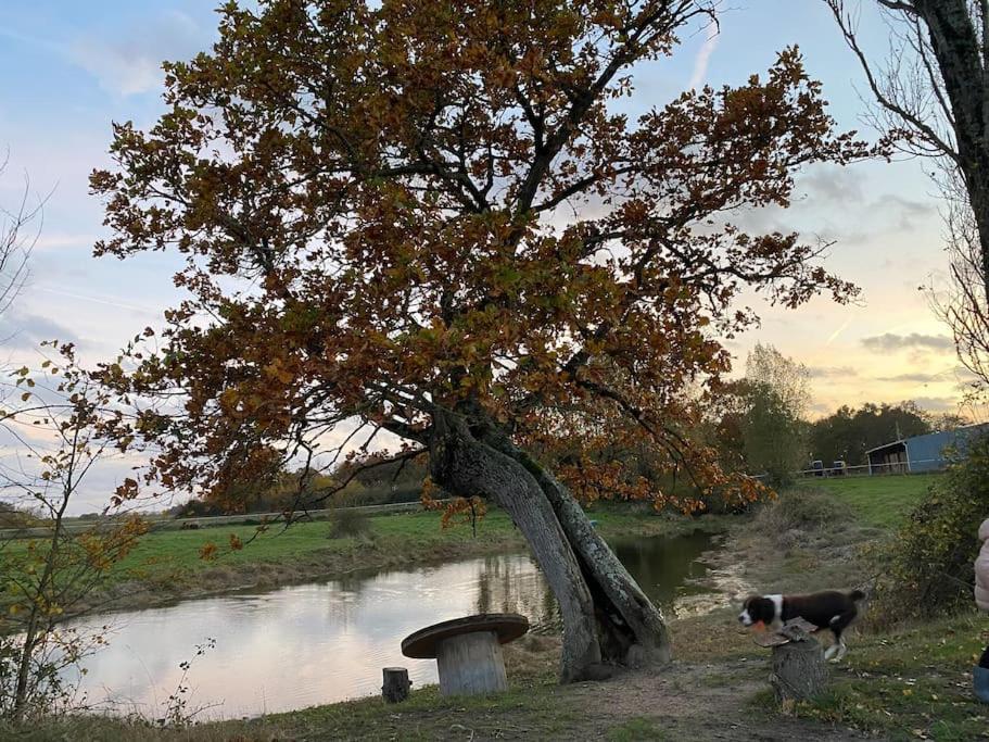Villenouan Domaine Et Gites Lailly-en-Val Esterno foto