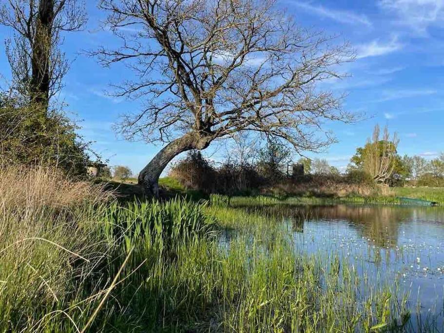 Villenouan Domaine Et Gites Lailly-en-Val Esterno foto